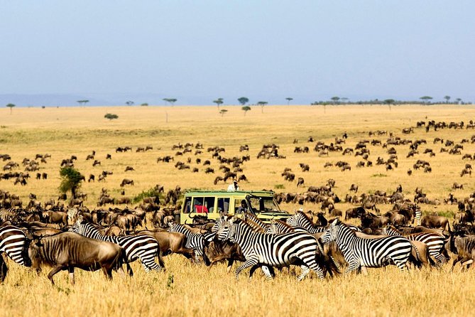 6 Day: Magnificent Wildlife Adventure - Serengeti’s Endless Plains: Great Migration Country