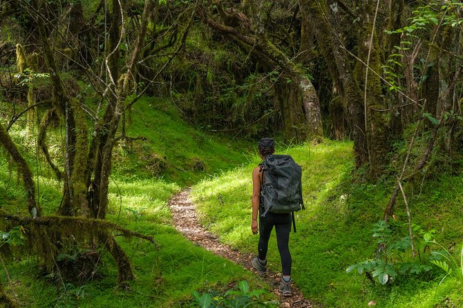 6-Day Mount Meru Climb through Momella Route Guided Tour - Mount Meru via Momella Route, what makes it special