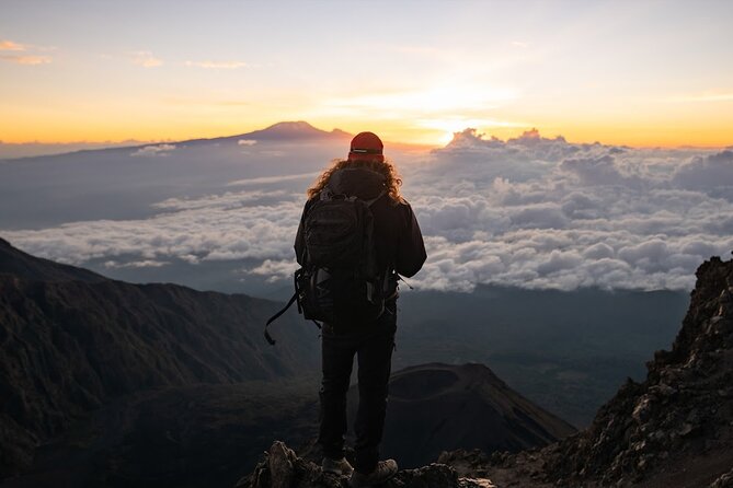 6-Day Mount Meru Climb through Momella Route Guided Tour - Getting to Momella Gate: the wildlife-heavy start