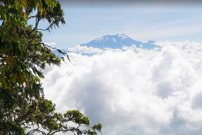 6-Day Mount Meru Climb through Momella Route Guided Tour - The ridge push, crater views, and the Little Meru acclimatization option