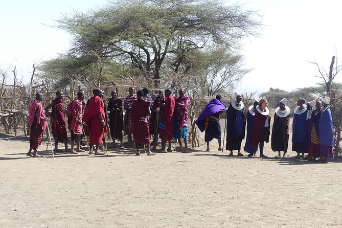 6-Day Northern Safari - Green season vs dry season: choose the look and the odds