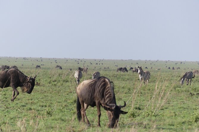 6-Day Northern Safari - Price and value: is $2,600 per person fair?