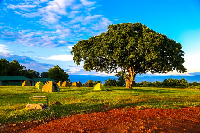 6 Day Private Camping Safari - Lake Manyara National Park: Birds, Tree-Climbing Lions, and Rift Valley Drama