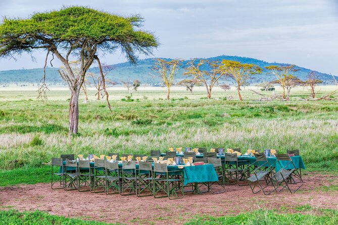 6 Day Private Camping Safari - Two Serengeti Days in a Private Rhythm: Great Migration Time and Real Sightings