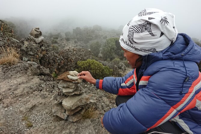 6-Day Private Guided Machame Hike Tour at Kilimanjaro - Day 1 on the Machame route, rainforest to giant heathers
