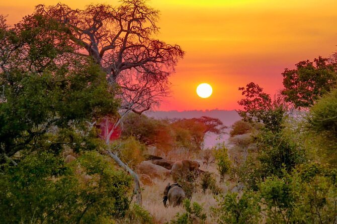 6-Day Private midrange Tour in Arusha with Airport Pickup - Day 6 in Ngorongoro: a descent over 600 meters and Lake Magadi time