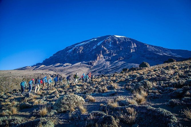 6-Day Rongai Route Trek in Mount Kilimanjaro - Why Rongai’s North Approach Changes the Whole Trek