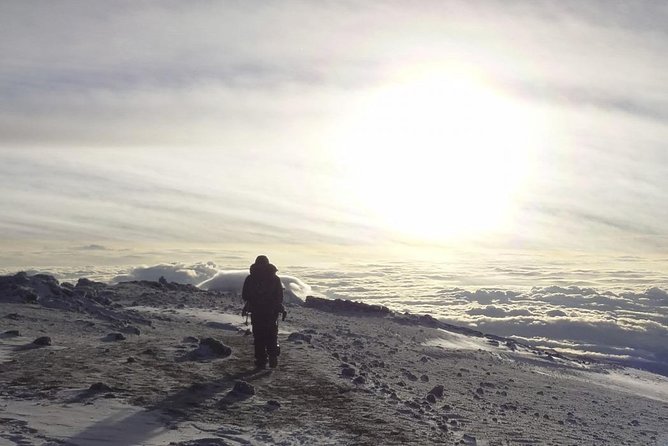 6-Day Rongai Route Trek in Mount Kilimanjaro - Day 5 Midnight Summit Attempt, Sunrise at Gilman’s Point, Uhuru Peak, Then Horombo