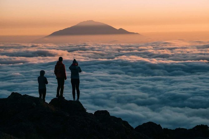6-Day Rongai Route Trek in Mount Kilimanjaro - Price, Transfers, and What Makes This Deal Feel Fair