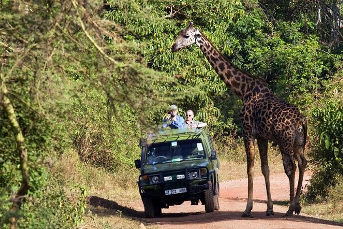 6 Day Serengeti wildebeest migration Camping Safari - Day 3 Serengeti arrival: getting from Rift Valley to the endless plains
