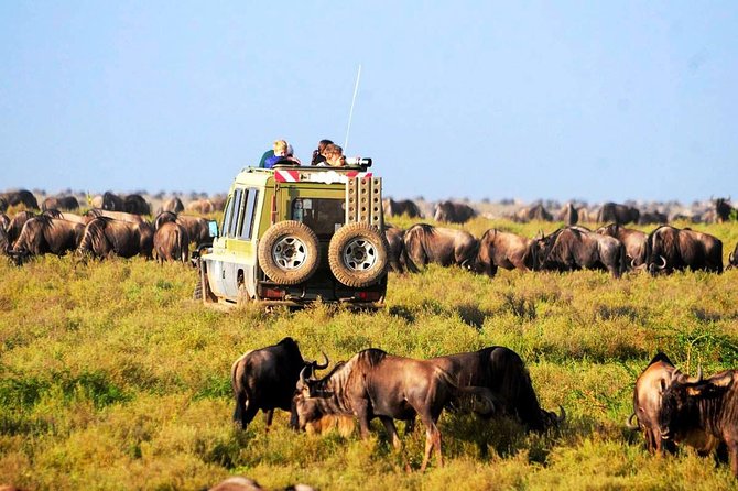 6-Day Tanzania Camping Safari: Lake Manyara, Serengeti, Ngorongoro Cater and Tarangire National Park from Arusha - Entering the wild from Arusha: how this safari is paced