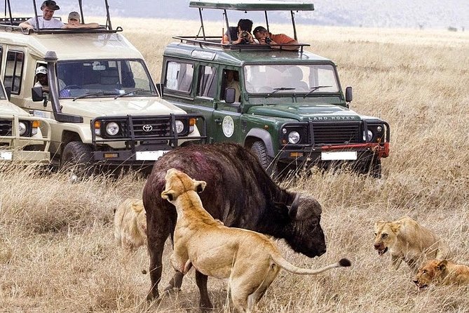 6-Day Tanzania Camping Safari: Lake Manyara, Serengeti, Ngorongoro Cater and Tarangire National Park from Arusha - Day 5 Lake Manyara route: crater floor game drive and the hippo pool lunch