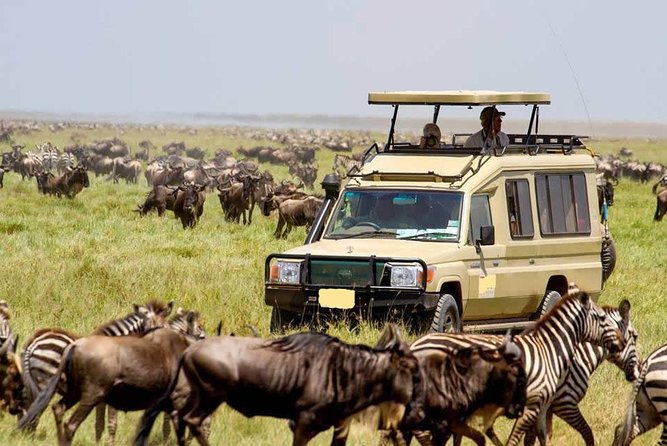 6-Day Tanzania Camping Safari: Lake Manyara, Serengeti, Ngorongoro Cater and Tarangire National Park from Arusha - Day 6 Lake Manyara finale: one more drive and a return to Arusha