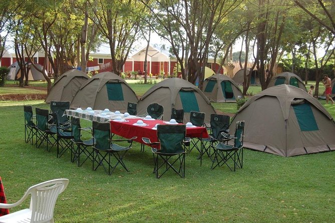 6-Day Tanzania Camping Safari: Lake Manyara, Serengeti, Ngorongoro Cater and Tarangire National Park from Arusha - What’s included: camping costs less, but comfort needs your planning