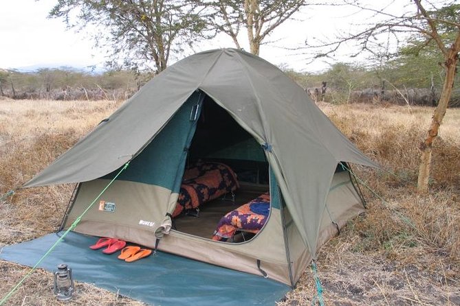 6-Day Tanzania Camping Safari: Lake Manyara, Serengeti, Ngorongoro Cater and Tarangire National Park from Arusha - The operator and group size: why small can feel better
