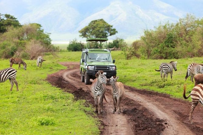 6 Day Tanzania Wildlife Mid range Safari - 4x4 safari transport, small group size, and how the schedule feels