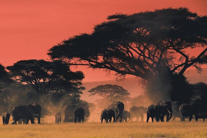 6-Day Unforgettable Tour in Tanzania - What the price covers, and how to judge the value