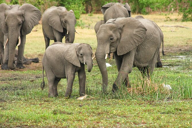 6 Days 5 Night Safari - Quick Hits: What You’ll Notice on This 6-Day Safari
