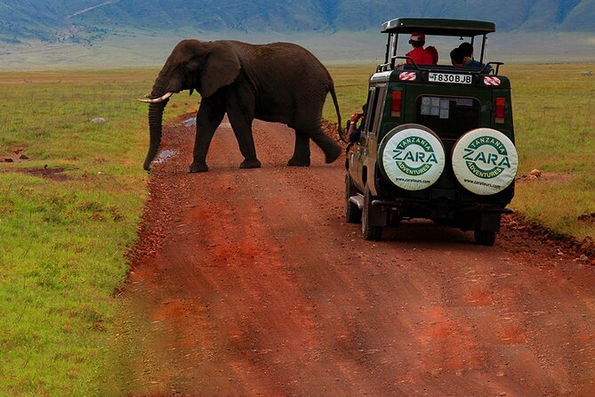 6 Days 5 Night Safari - Olduvai Gorge and Ngorongoro Crater: From Human Origins to a Wildlife Bowl
