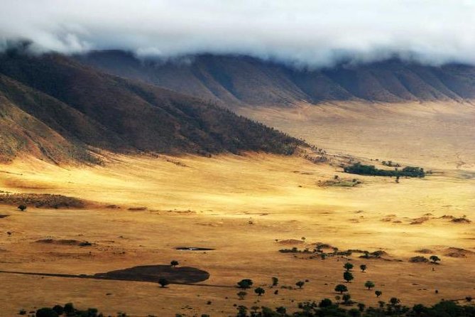 6 Days 5 Nights lodge safari Tarangire, Manyara, Serengeti & Ngorongoro Crater - Why Tarangire, Manyara, Serengeti, and Ngorongoro in 6 Days Works