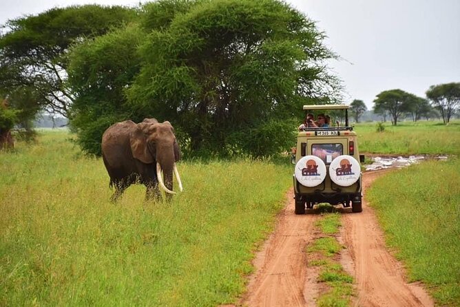 6 days 5 nights safari Ngorongoro, Serengeti and Tarangire National Parks - Serengeti Entry via Ngorongoro Conservation and Naabi Hills Gate