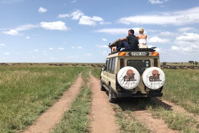 6 days 5 nights safari Ngorongoro, Serengeti and Tarangire National Parks - Lodges and Meals: Practical Comfort That Won’t Slow You Down