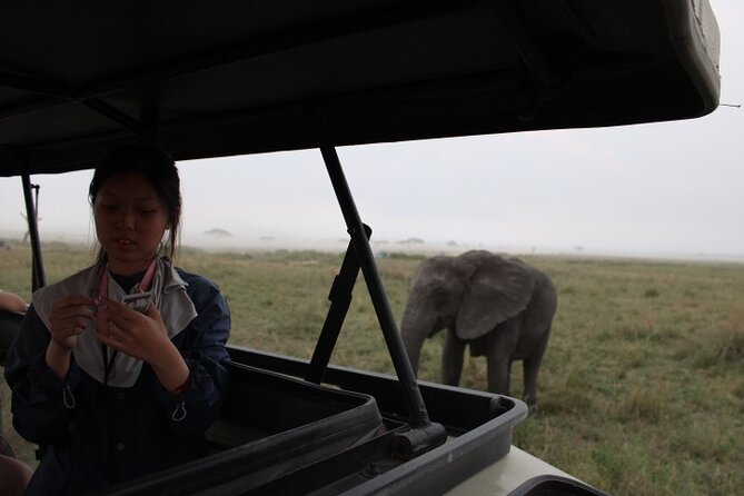 6 Days Adventure Towards Serengeti, Ngorongoro and Tarangire - Serengeti Again, Big Five Odds and the Great Migration Window