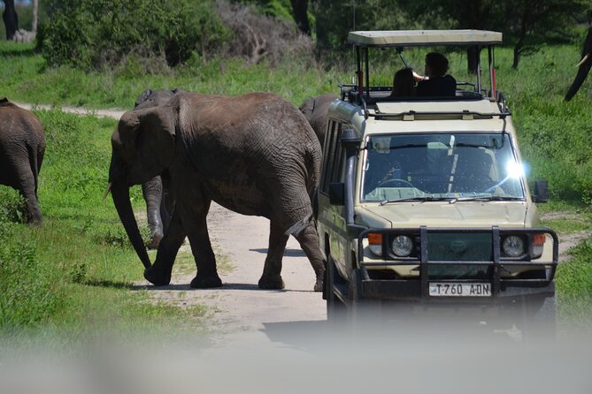 6 Days best adventure kilimanjaro ,Tarangire ,Serengeti &Ngorongoro crater - Day 1: Lake Manyara full-day game drive and Rift Wall birdwatching