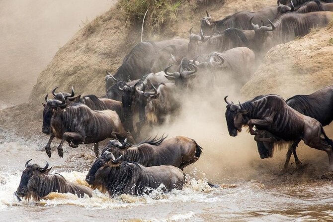 6 Days best adventure kilimanjaro ,Tarangire ,Serengeti &Ngorongoro crater - Day 3: Serengeti early sightings, sunrise timing, then Ngorongoro rim at night