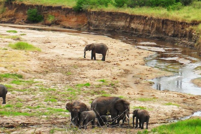 6 Days - Best of Nothern Parks Safari - How This 6-Day Northern Parks Route Actually Works