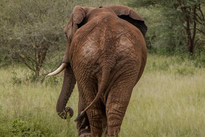 6 Days - Best of Nothern Parks Safari - Tarangire National Park for Baobabs and Big Elephant Herds