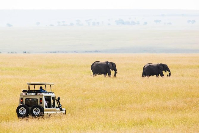 6 Days Budget Tanzania Camping Safari - Getting started from Arusha: pickup, timing, and your first game drive