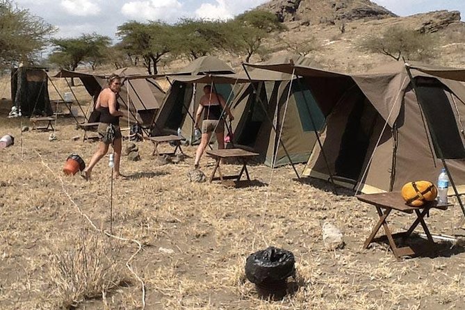 6 Days Budget Tanzania Camping Safari - Day 5 Serengeti to Ngorongoro Conservation Area: changing scenery at pace