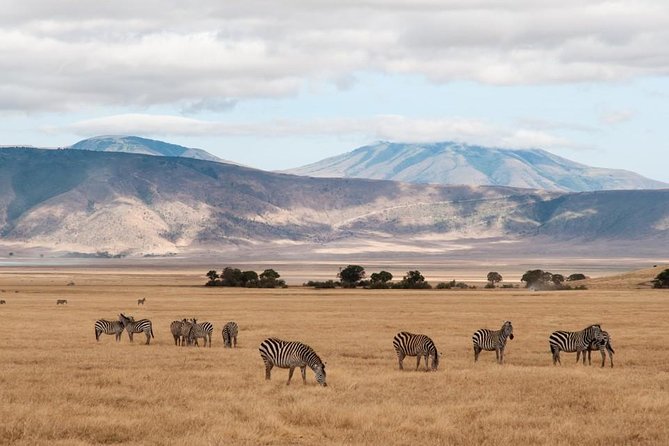 6 Days Budget Tanzania Camping Safari - Day 6 Ngorongoro Crater: early start, crater-floor driving, and back to Arusha