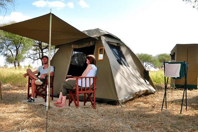 6 Days Budget Tanzania Camping Safari - Day 1 Tarangire National Park: picnic lunch and the first night in camp