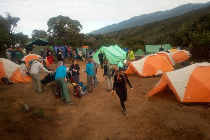 6 Days Climb Kilimanjaro Through Marangu Route - Marangu route start: Moshi to the Kilimanjaro gate and the rainforest tone