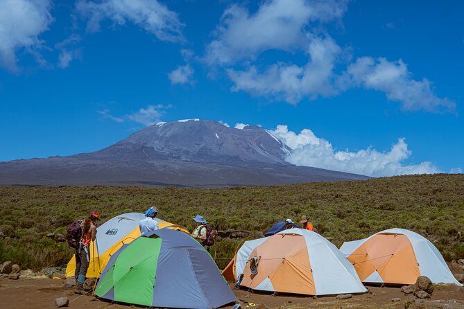 6 Days Climb Private Tour in Mount Kilimanjaro - Day 2 to Shira Plateau: moorland gradients and big glacier views