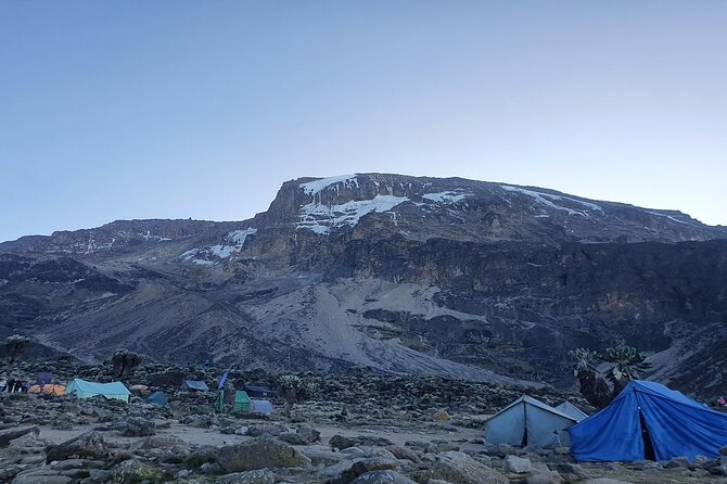 6 Days Climbing Mount Kilimanjaro Machame Route - Day 2: Out of the rainforest to moorland and Shira Cave Camp