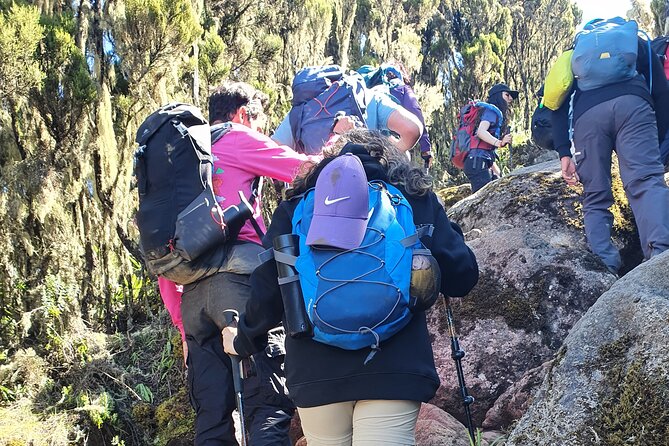 6 Days Climbing Mount Kilimanjaro Machame Route - Day 4: Barranco Wall climb to Barafu Camp for the summit push