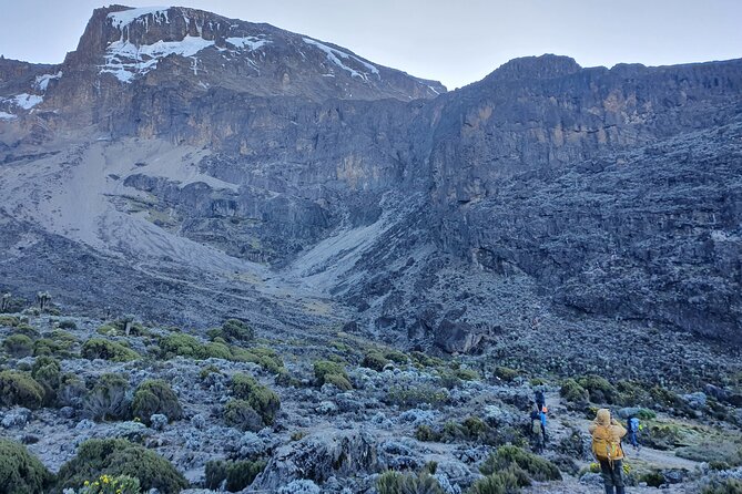 6 Days Climbing Mount Kilimanjaro Machame Route - Day 1: Moshi to Machame Camp through montane forest trails