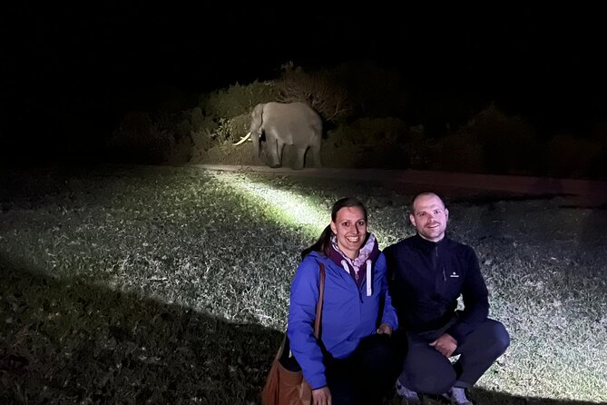 6 Days Essence of Tanzania Wildlife Safari - Tarangire National Park: elephants at the water source and the river of warthogs