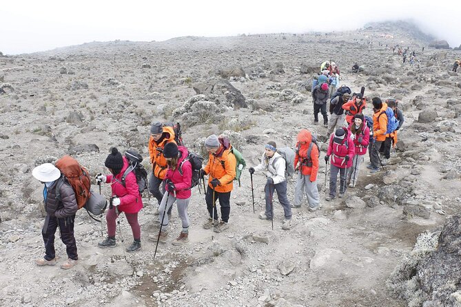 6 Days: Hiking Kilimanjaro via Machame Route - Day 6: Rainforest descent to Mweka Gate, then back to your hotel
