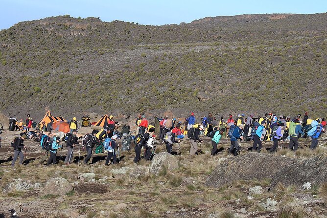 6 Days: Hiking Kilimanjaro via Machame Route - What you get for the $1,950 price, and where value really shows