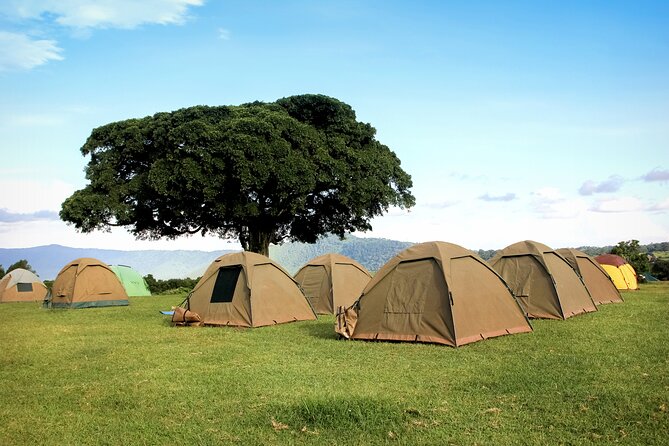 6 Days in the Wild – A Budget Safari Across Tanzania’s Icons - Key highlights worth planning around