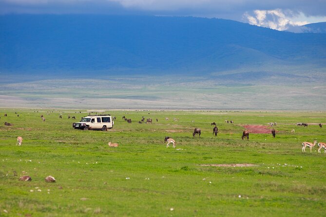 6 Days in the Wild – A Budget Safari Across Tanzania’s Icons - Day 6 Chemka Hot Springs and Materuni Waterfalls, Relaxing Breaks With Real Local Flavors