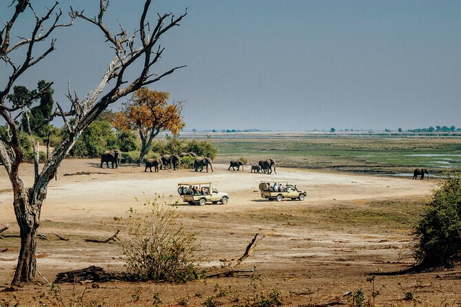 6 Days in the Wild – A Budget Safari Across Tanzania’s Icons - The People Who Make It Work, Simba, Amiri, Shebbie, and Salim