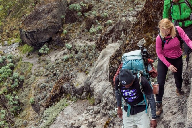 6 Days Kilimanjaro climb - Marangu route - Day 6: Descent to Mweka Gate, Summit Certificates, and the Ride Back to Moshi