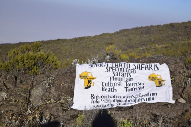 6 Days Kilimanjaro climbing | Hiking Tour via the Rongai Route - Day 1, 1,950m to Cave Camp 1: Forest Trails and Camp Comfort