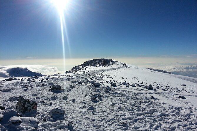 6 Days Kilimanjaro climbing | Hiking Tour via the Rongai Route - Moshi Meet-Up and How the Day Starts at 8:30