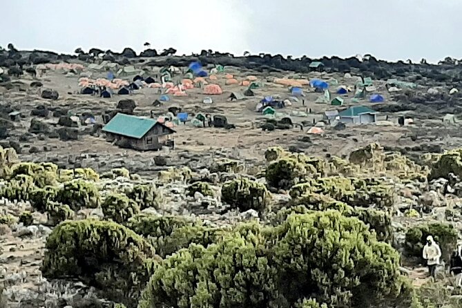 6 days Kilimanjaro Climbing Machame Route in Tanzania - Day 1: Rain Forest to Machame Camp (1830m to 3000m)